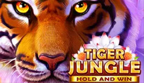 Tiger Jungle Tiger Jungle